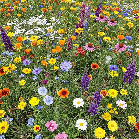Ferry-Morse North American Mix Bulk Wildflower Seeds, 1lb