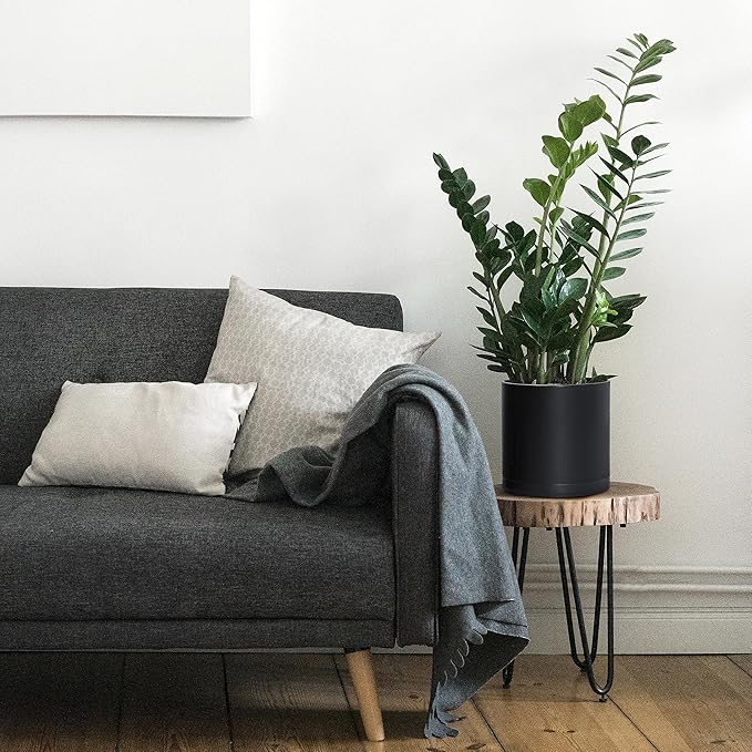 D'vine Dev 2 Pack 8 Inch Modern Plastic Plant Pots, Small Garden Planters for Plant with Drainage Holes and Saucers, Black Color, 74-Y-M-1