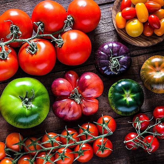 The Old Farmer's Almanac Organic Tomato & Vegetable Plant Food Fertilizer (Covers 250 Sq Ft - 2.25 Lbs)