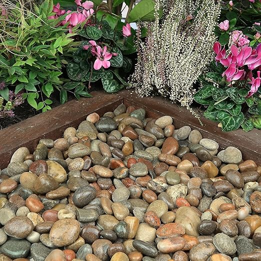 Pebbles for Indoor Plants 20lbs, 1-2 Inch Natural River Rocks, Hand-Picked Premium Stones for Landscaping and Garden Design, Fish Tank, Flower Pots, Pathways and Backyard, Mixed Color